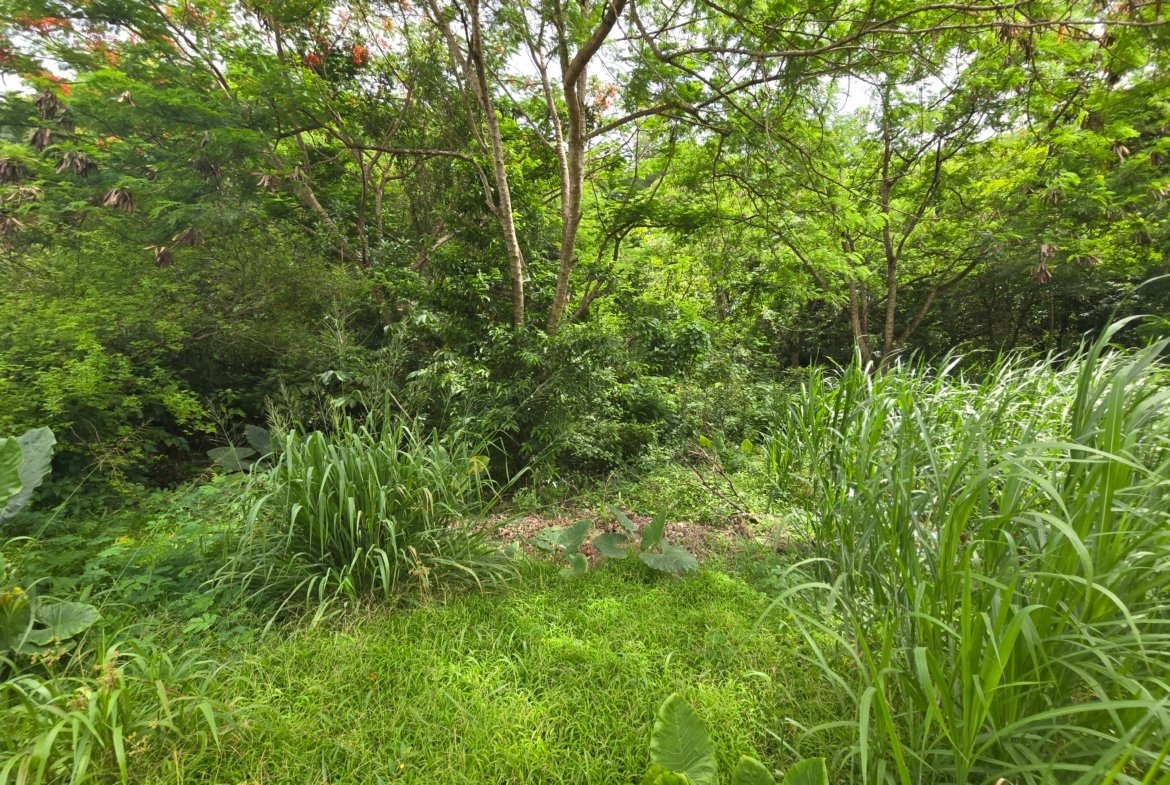 Soufriere Land for Sale