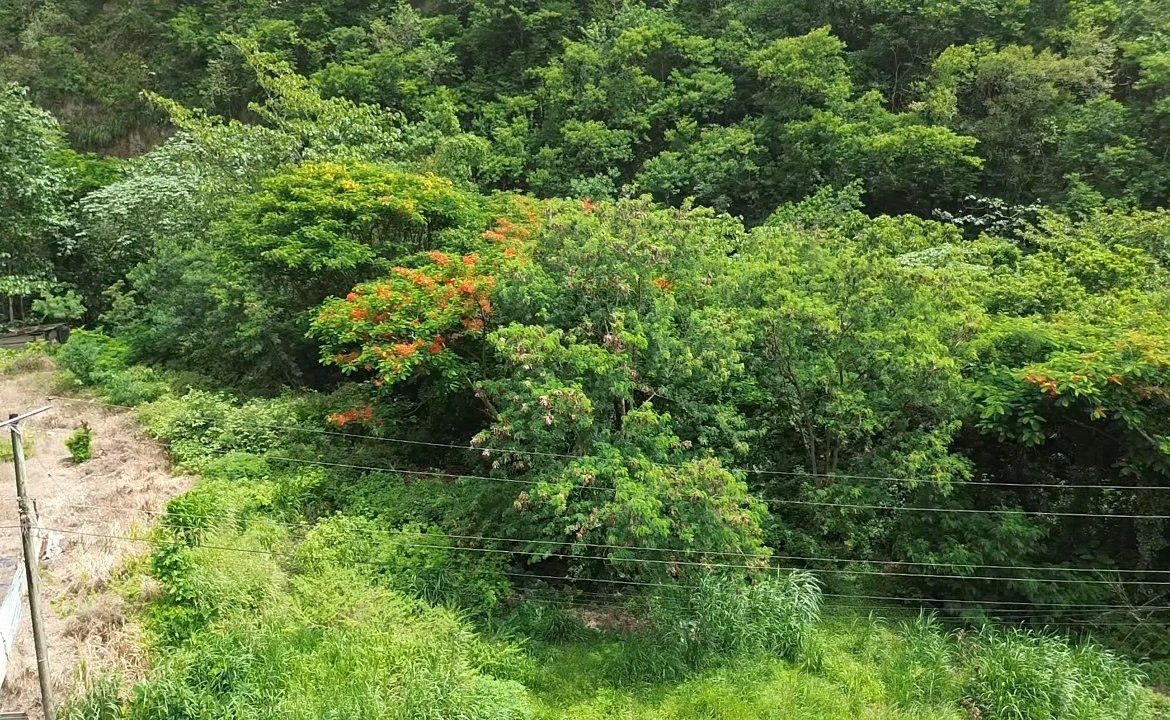 SOUFRIERE ST LUCIA