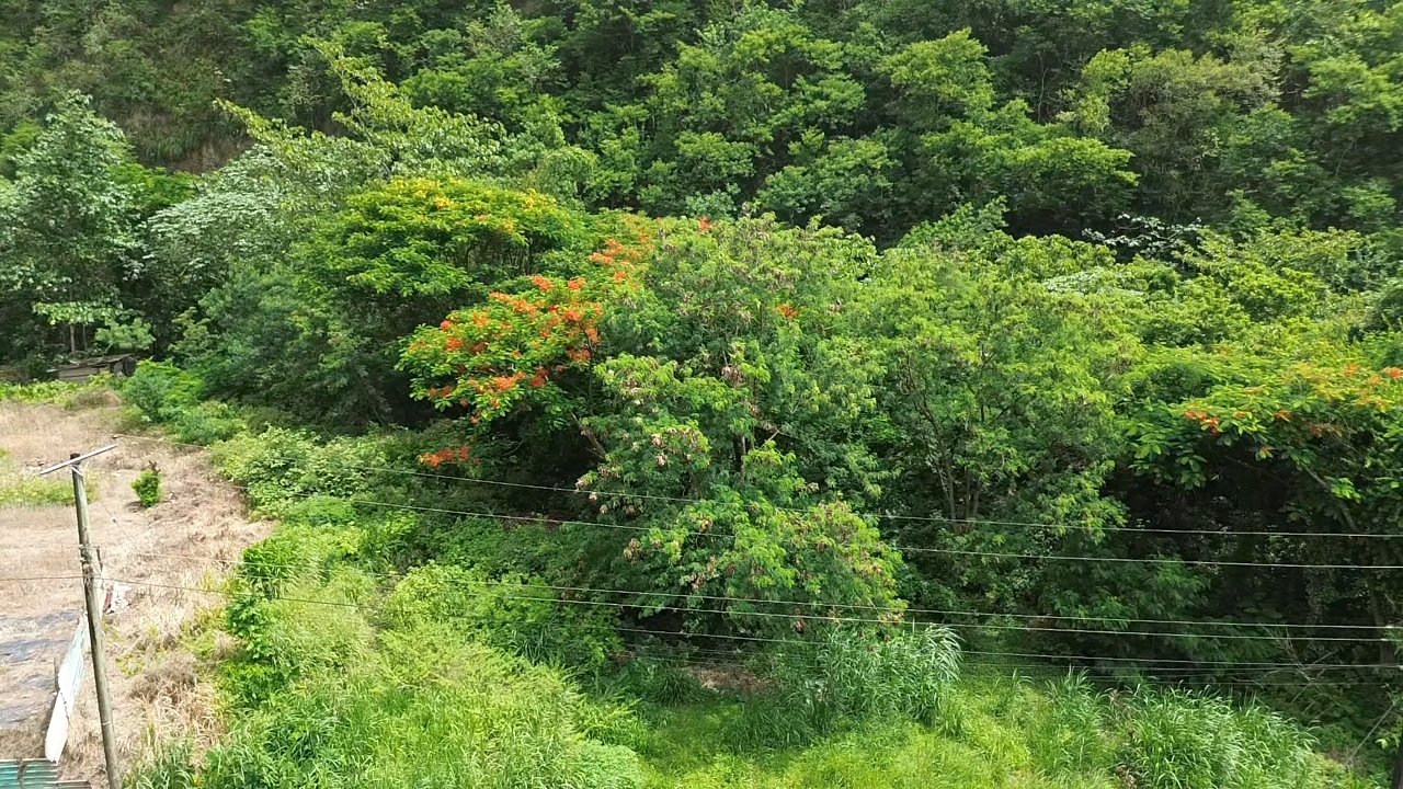 SOUFRIERE ST LUCIA